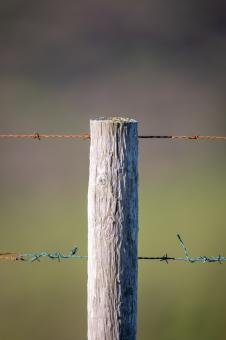 Free Stock Photo of Wooden fence post