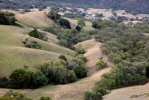 Free Stock Photo of Rolling hills