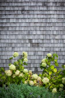 Free Stock Photo of Wood siding exterior
