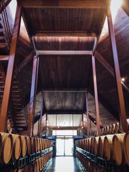 Free Stock Photo of Napa Wine Cellar