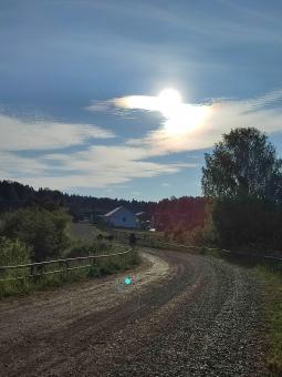 Free Stock Photo of Country Road