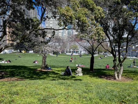 Free Stock Photo of Sunny park day