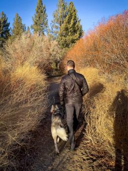 Free Stock Photo of Man walking dog