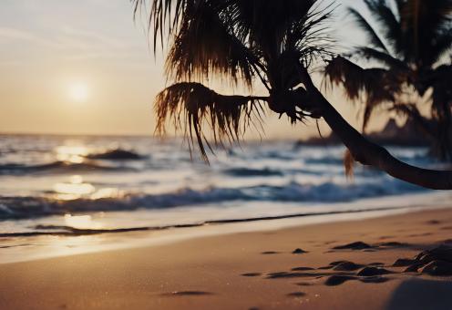 Free Stock Photo of Summer Background