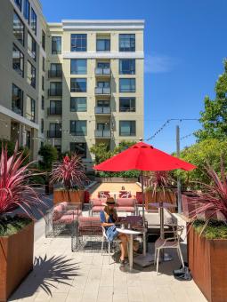 Free Stock Photo of Woman dining outdoors