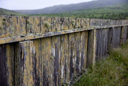 Free Stock Photo of Old wooden fence