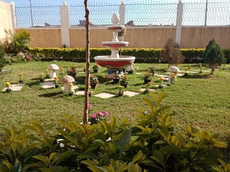 Free Stock Photo of Garden decorated with plants