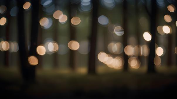 Free Stock Photo of Abstract Blur of Forest