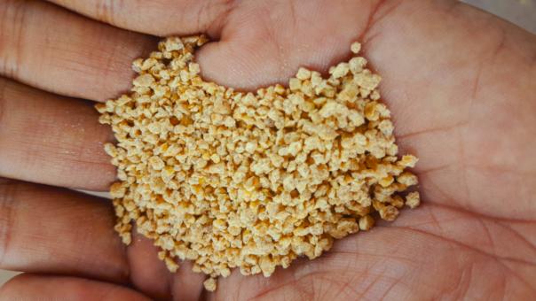 Free Stock Photo of Nutritious Chicken Feed