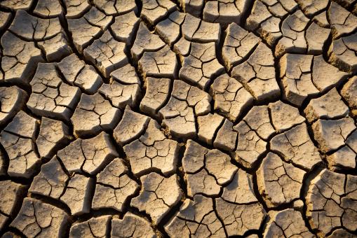 Free Stock Photo of Cracked Dry Earth