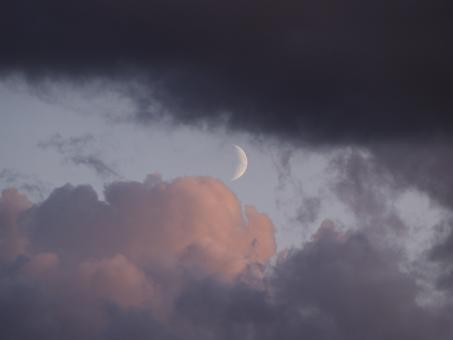Moon shades - Free Stock Photo