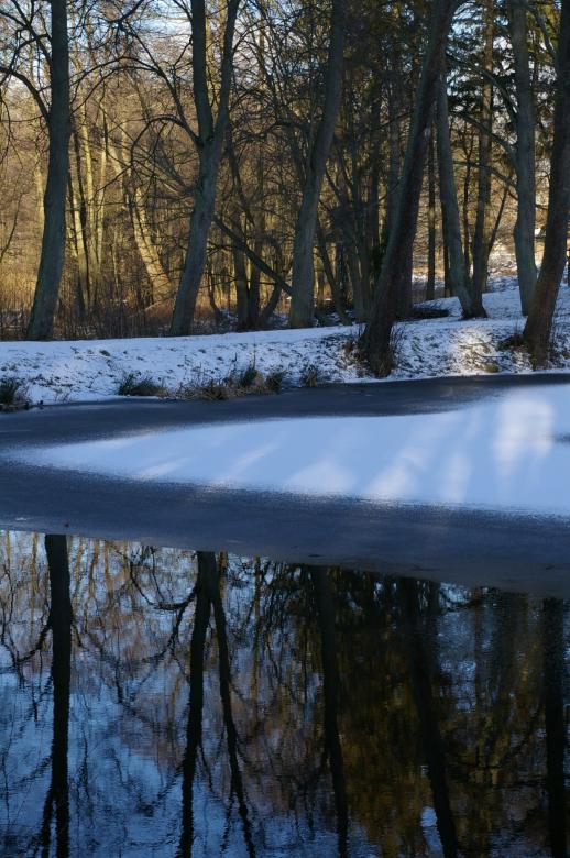 Free stock image of Frost created by maciej tamkun