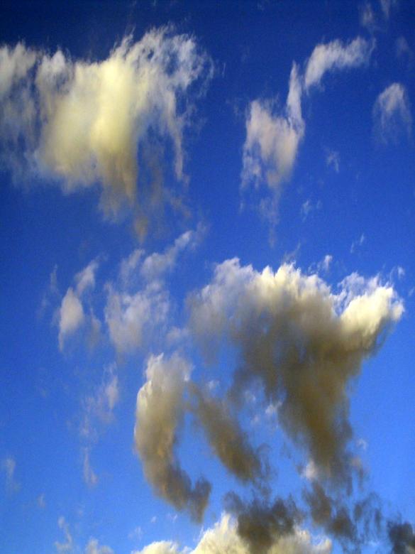 Free stock image of Cotton Sky created by dawn c. thomas