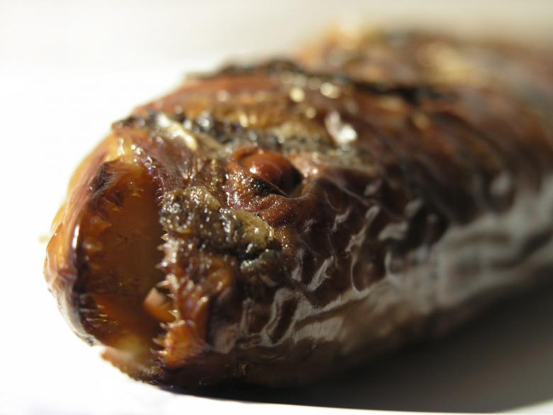 Free stock image of Dead fish created by christian steiniger