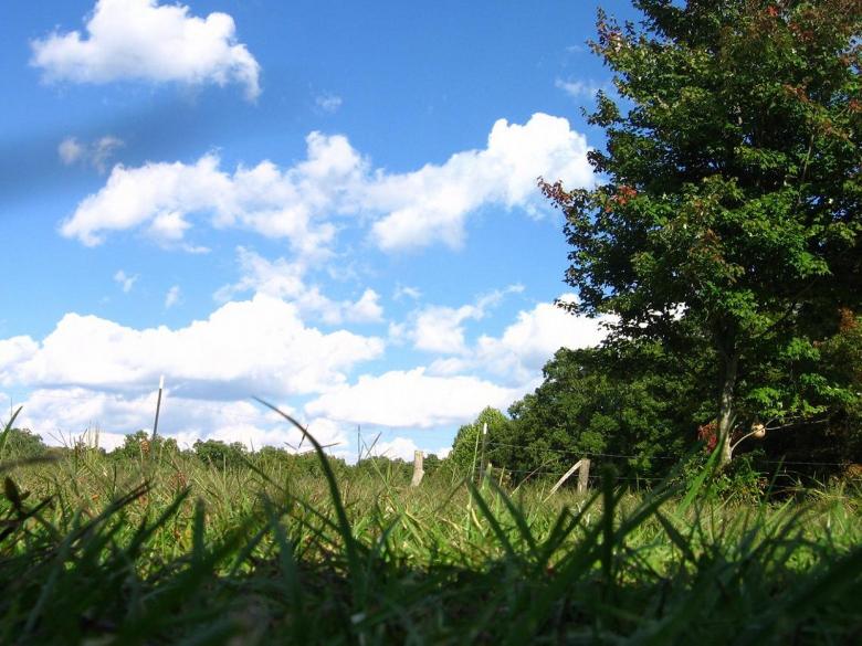 Free stock image of Blue skies, green grass created by emily bowman