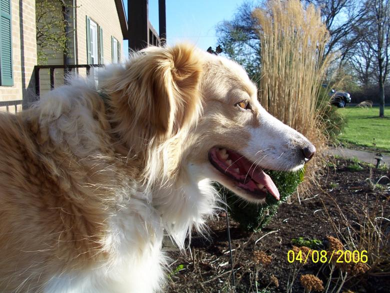 Free stock image of Our Protector created by kim brown