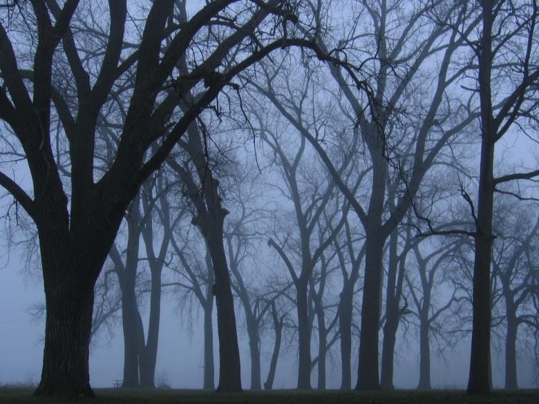 Free stock image of Alone created by shawn maxfield