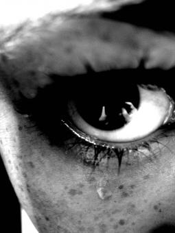 Eye See You - Free Stock Photo