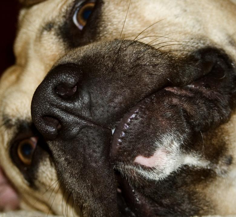 Free stock image of Kona created by angela sajek