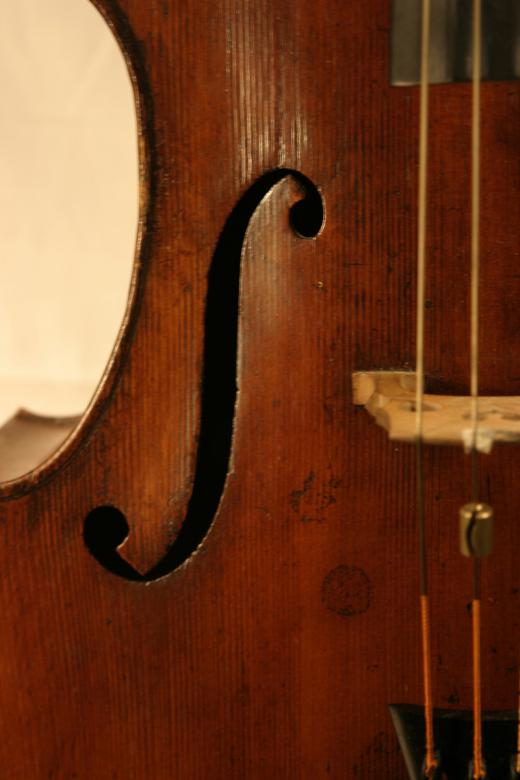 Free stock image of Cello closeup created by mandy schnurr