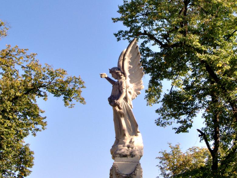 Free stock image of Watching Over You created by alexandra