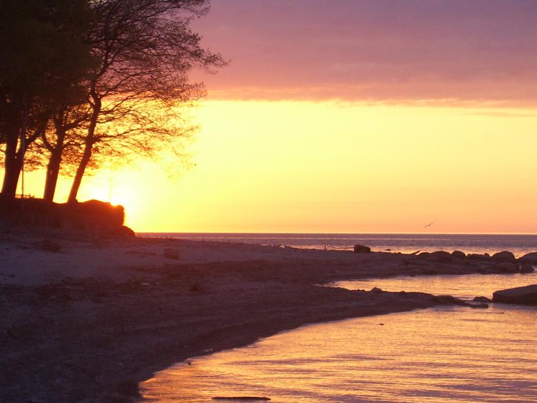 Free stock image of Romantic Sunset created by holly m keiser
