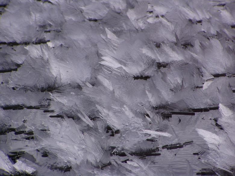 Free stock image of Iceleefs created by hilmar p