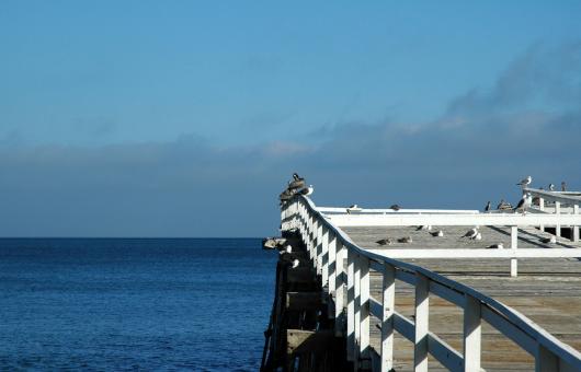 Pier - Free Stock Photo