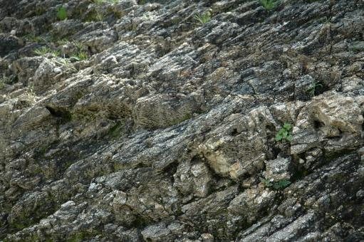 Rocks - Free Stock Photo