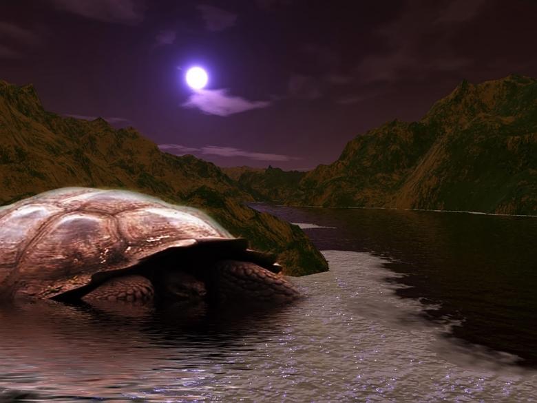 Free stock image of GIANT TURTLE created by zeev manor