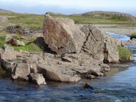 River and stone - Free Stock Photo