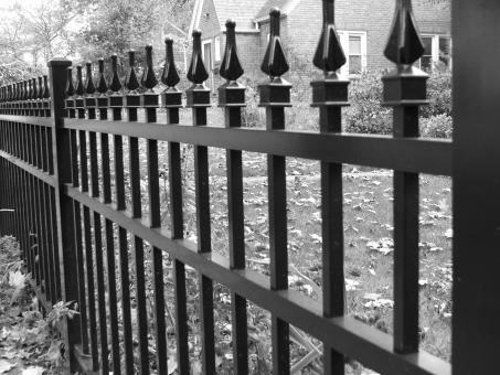 Fence - Free Stock Photo