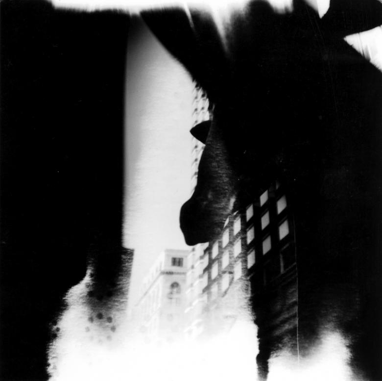 Free stock image of Street Abstraction created by amanda voss