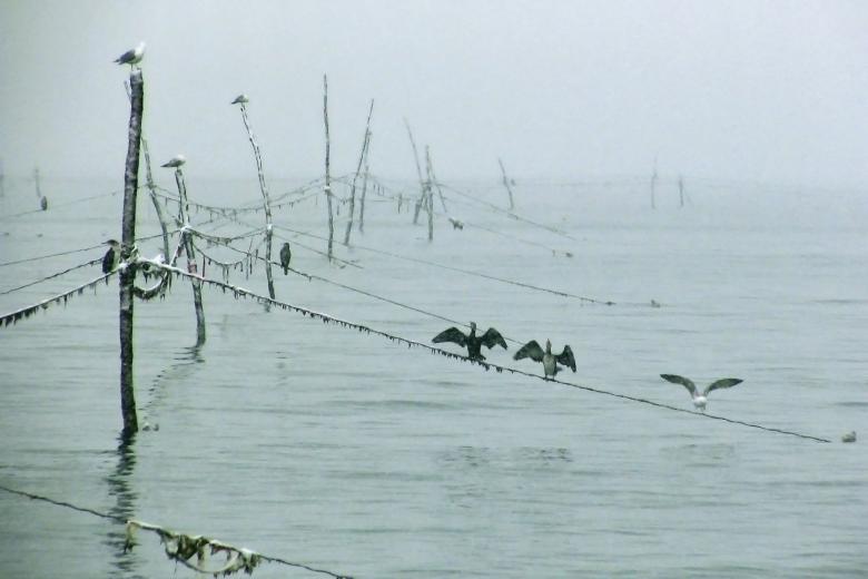 Free stock image of In the Fog created by korneliya georgieva