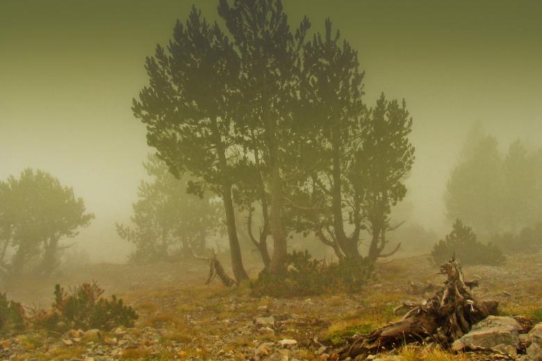 Free stock image of Autumn created by korneliya georgieva