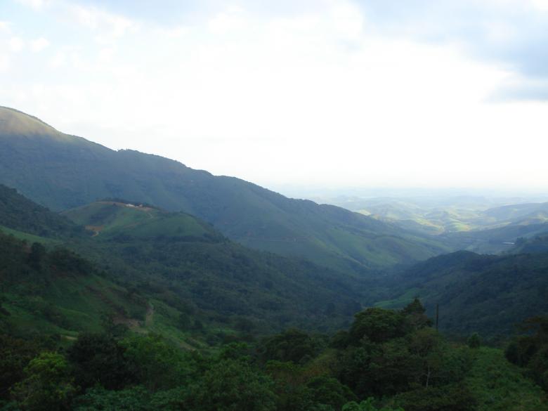 Free stock image of Serra da Cantareira created by joao mario nedeff menegaz