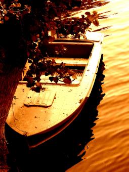 Boat on the river - Free Stock Photo
