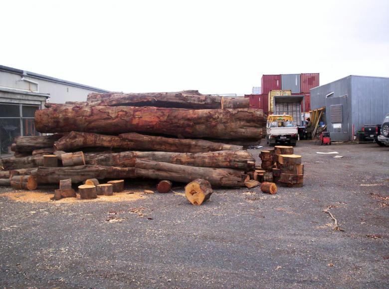 Free stock image of Eucalyptus Logs created by Peter Alexander Robb