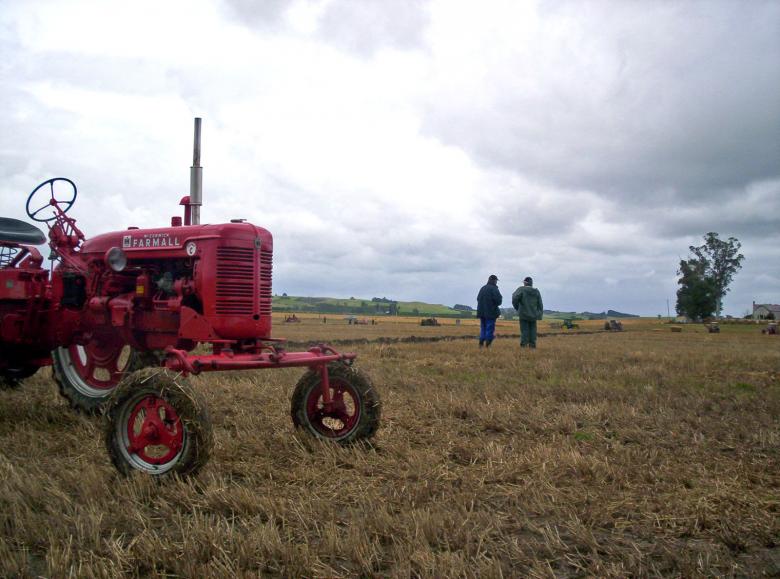 Free stock image of Farmall Tractor created by Peter Alexander Robb