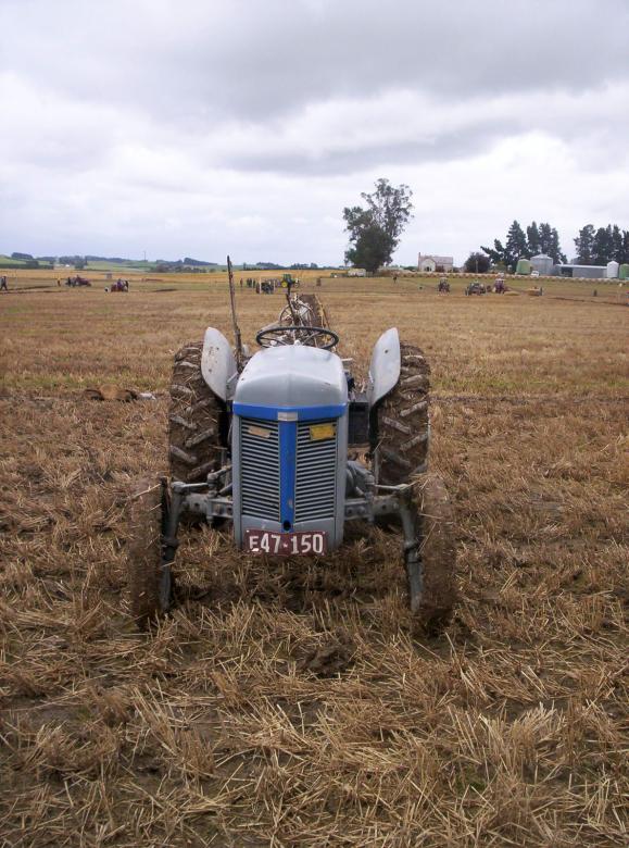 Free stock image of Trusty Steed created by Peter Alexander Robb
