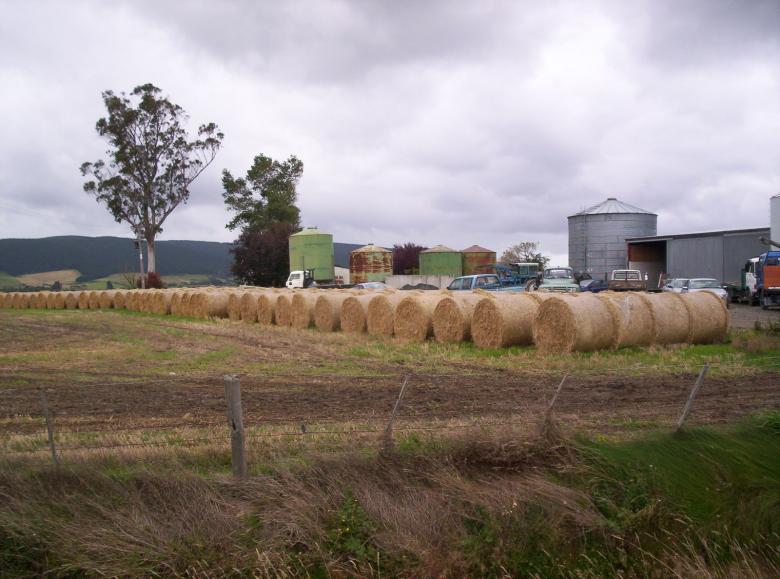 Free stock image of Hay Bales Southern Style created by Peter Alexander Robb