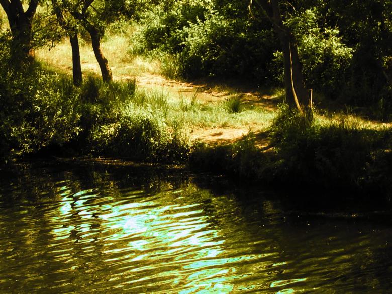 Free stock image of River created by 4sundance