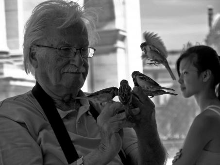 Free Stock Photo of Lord of the birds