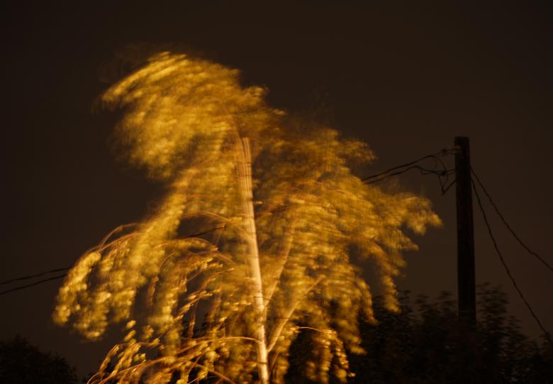 Free stock image of Night Dance created by j. l. johnson