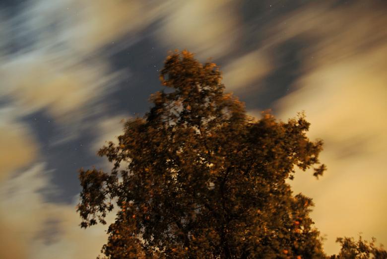 Free stock image of Night Wind Blowing created by j. l. johnson