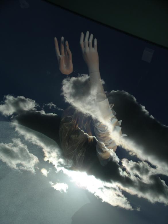 Free stock image of Losted in heaven created by andrea chrenova