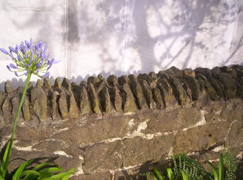 Free stock image of Stone Wall:  detail created by Peter Alexander Robb