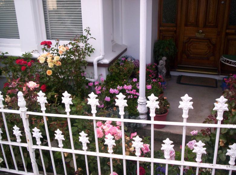 Free stock image of Railing, twentieth, century, iron, roses created by Peter Alexander Robb