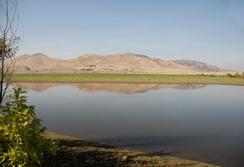 Free stock image of Pond by the Lake created by j. l. johnson