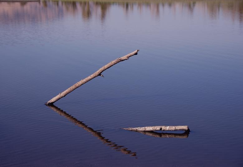Free stock image of Reflections created by j. l. johnson